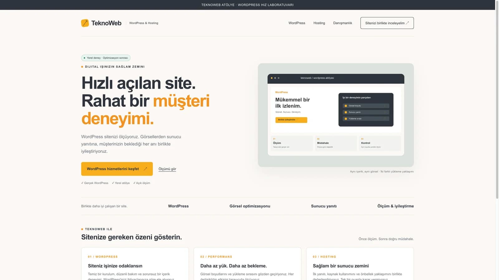 TeknoWeb's local WordPress performance laboratory after optimization