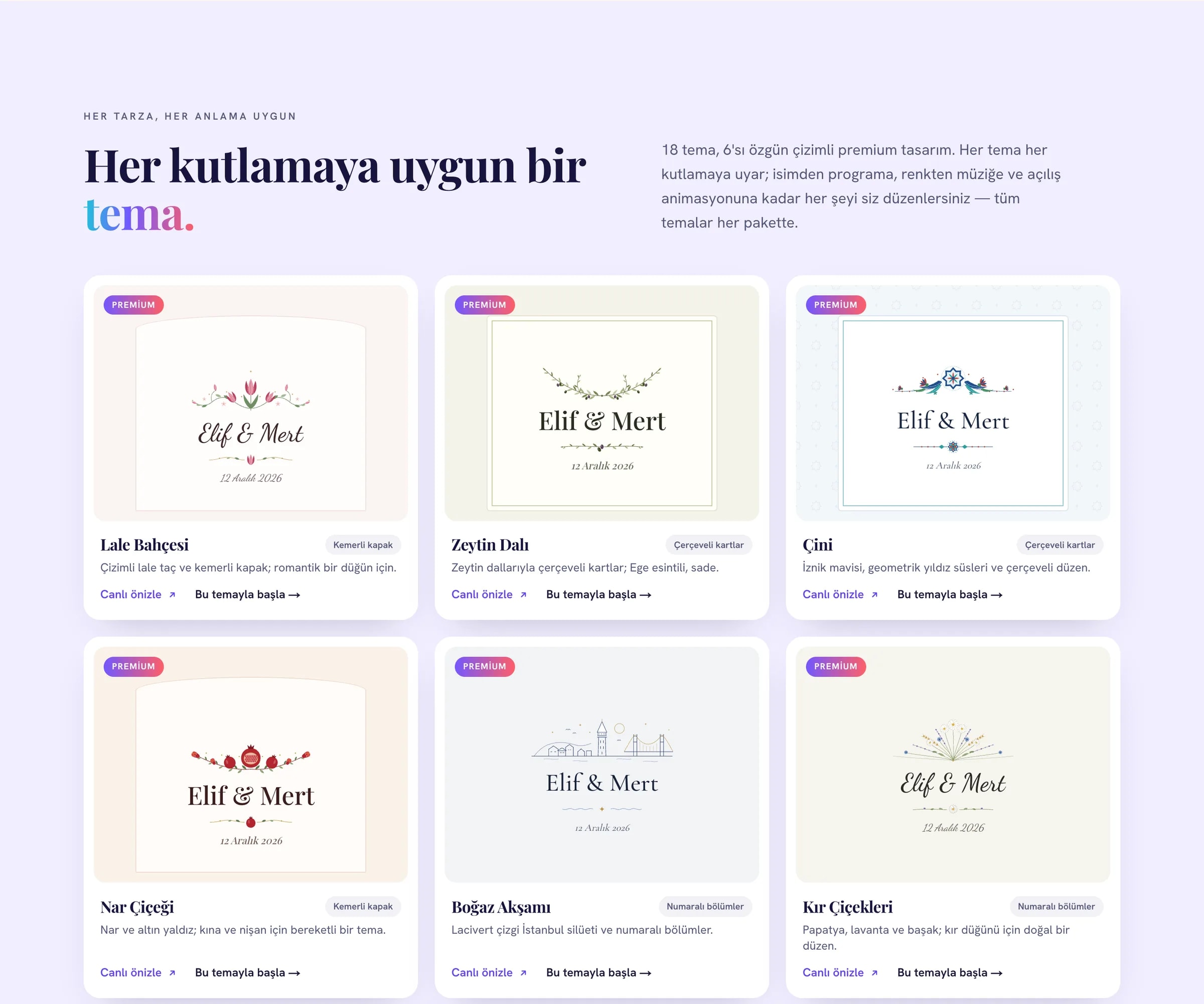 Tema seçimi: Lale Bahçesi, Zeytin Dalı, Çini, Nar Çiçeği, Boğaz Akşamı ve Kır Çiçekleri